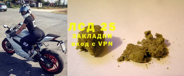 сатива Бородино