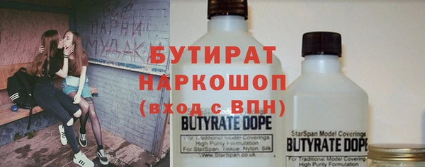 сатива Бородино