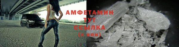 сатива Бородино