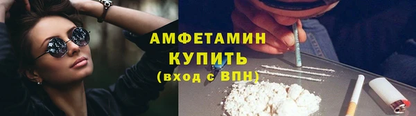 сатива Бородино