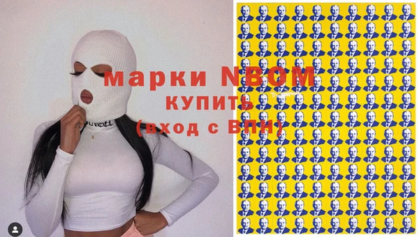 сатива Бородино
