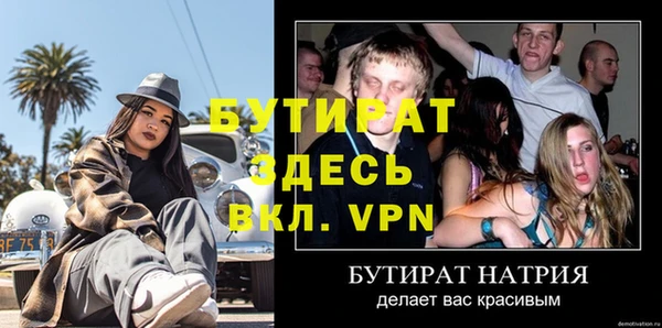сатива Бородино