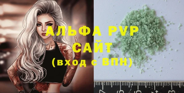 сатива Бородино