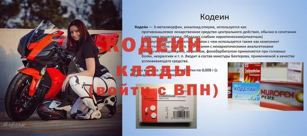 сатива Бородино