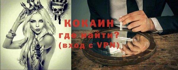 сатива Бородино