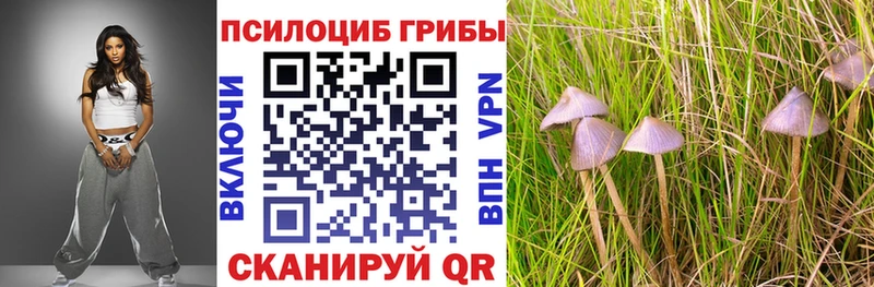 Галлюциногенные грибы GOLDEN TEACHER что такое Нижнекамск